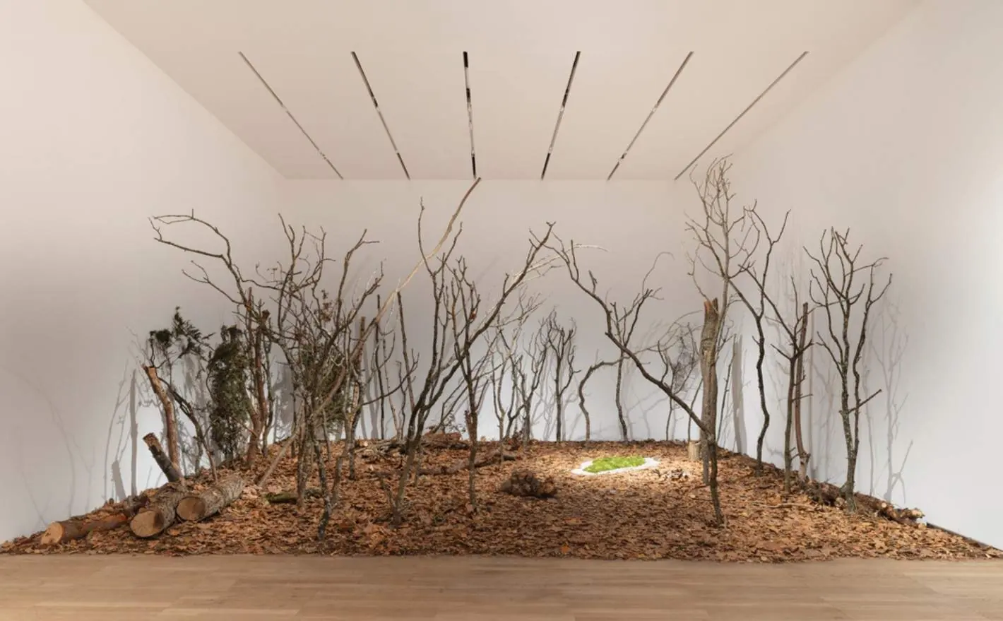 Ana Mendieta