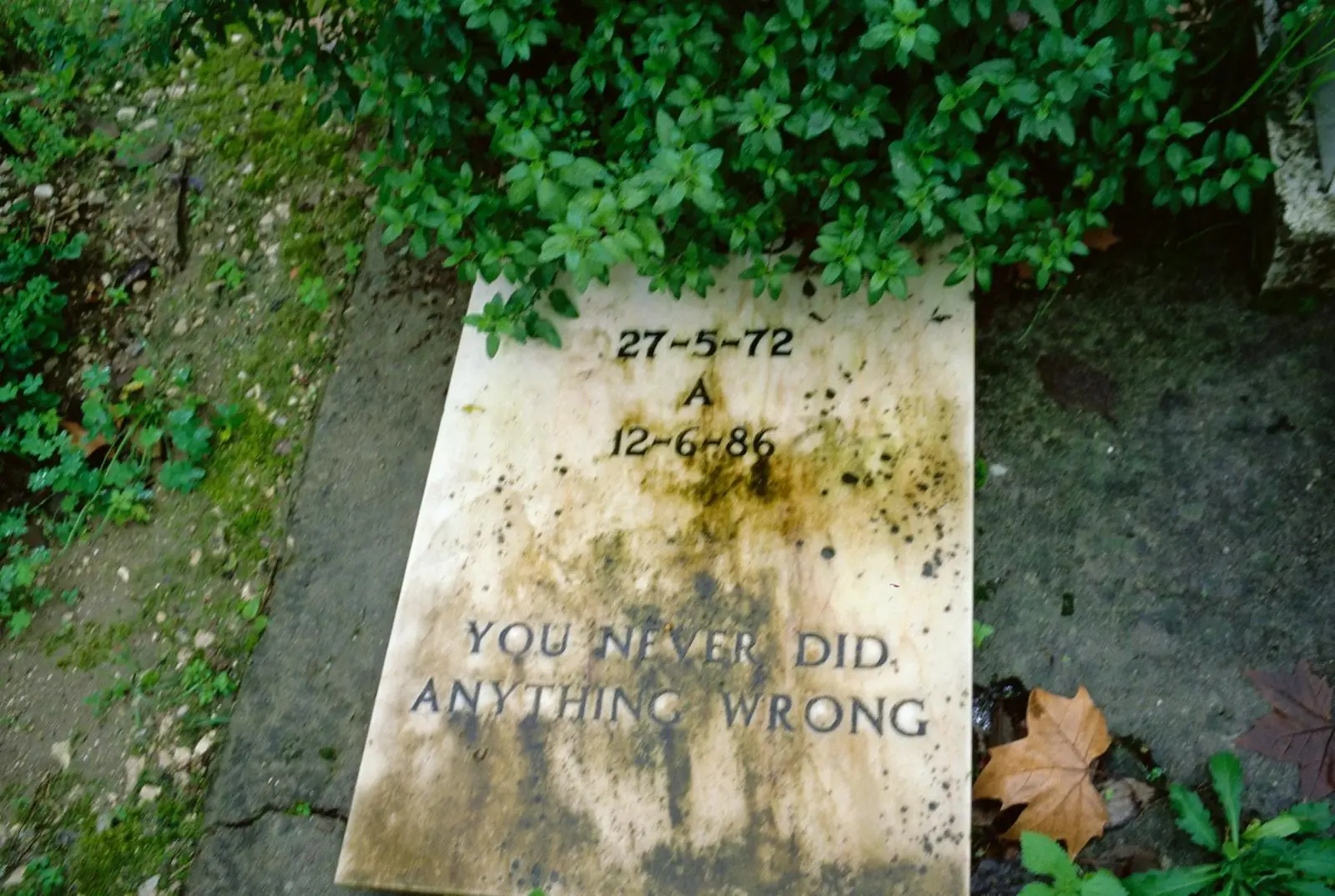 Nan Goldin: You Never Did Anything Wrong