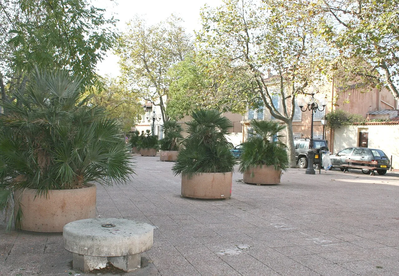 A square planted with palms, with a millstone used as a seat.