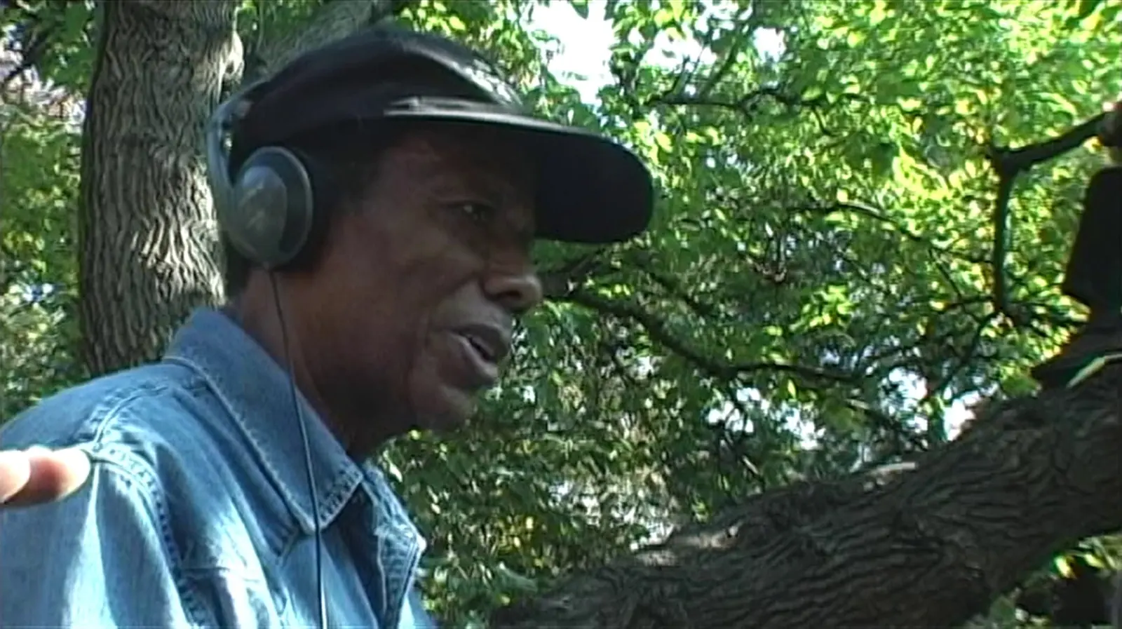 I Am Furious Black: the films of William Greaves