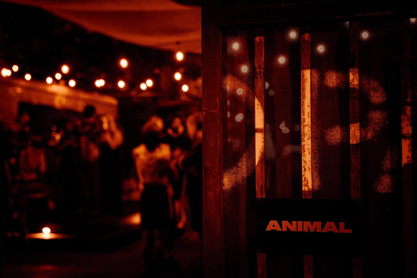 ANIMAL